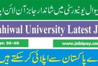 University of Sahiwal Jobs 2023 | Online Apply