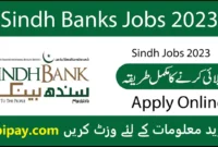 Sindh Bank Jobs 2023 Online Apply