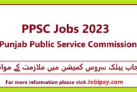 PPSC Jobs 2023 www.ppsc.gop.pk